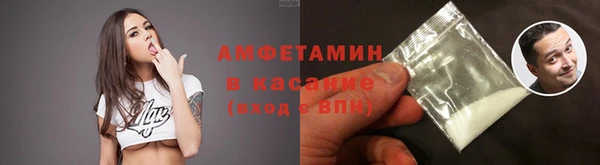 твердый Мегион