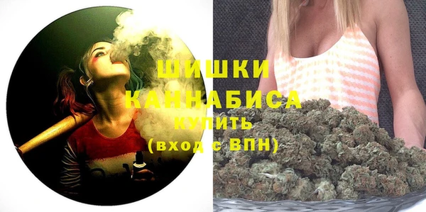 твердый Мегион