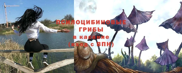 прущая мука Медногорск
