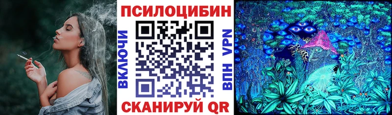 Галлюциногенные грибы Cubensis  купить наркотики цена  Братск 
