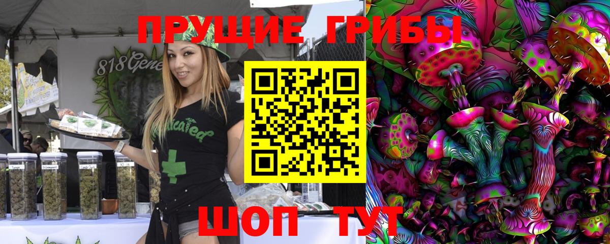 Псилоцибиновые грибы мицелий Братск