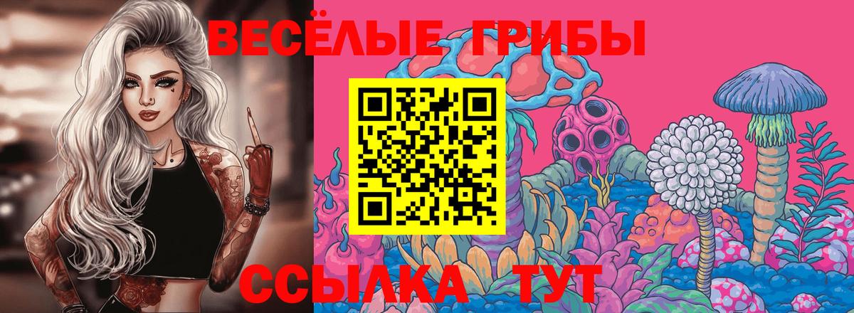 купить   Братск  Псилоцибиновые грибы мицелий 