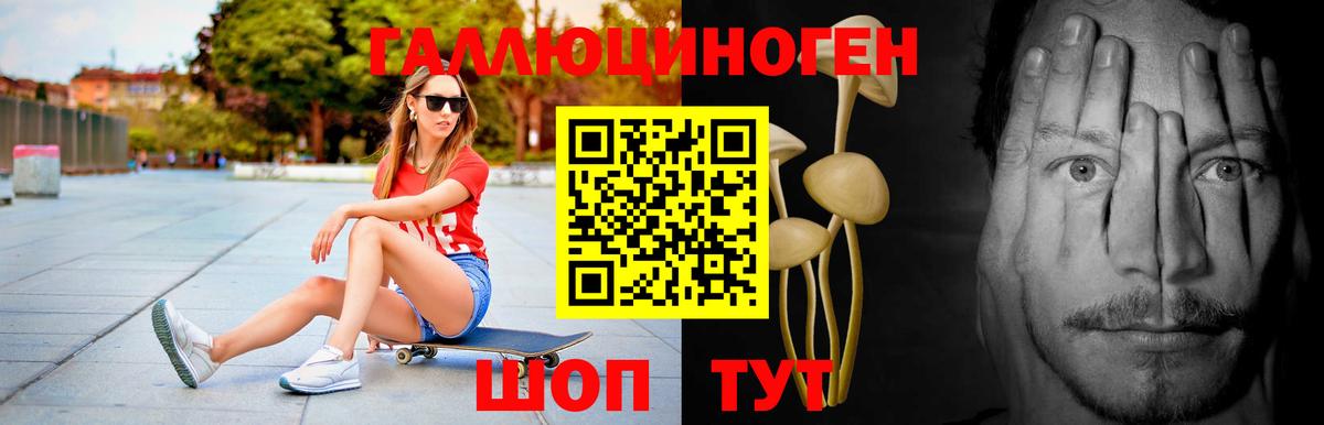 Братск  Галлюциногенные грибы ЛСД  Вход с VPN 